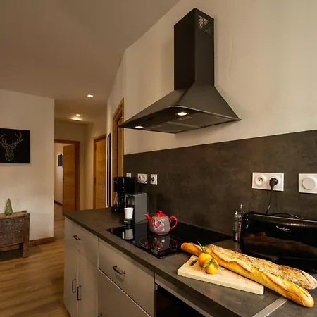 4 Pieces, 6 Pers, Balcon Sud-ouest, Centre Valloire, Proche Pistes Et Commerces - Fr-1-263-361 Valloire