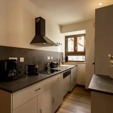 Apartment 4 Pieces, 6 Pers, Balcon Sud-ouest, Centre Valloire, Proche Pistes Et Commerces - Fr-1-263-361